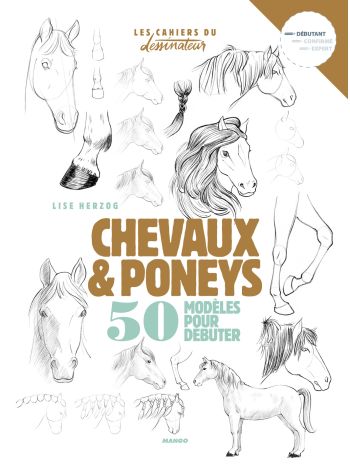 Dessiner chevaux et poneys