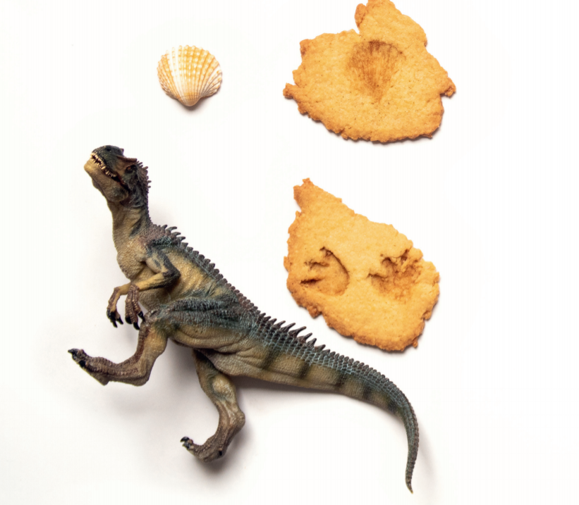 Cuisiner des biscuits 