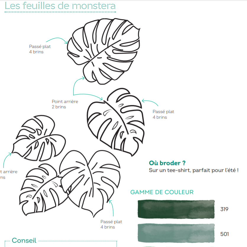  Feuilles de monstera